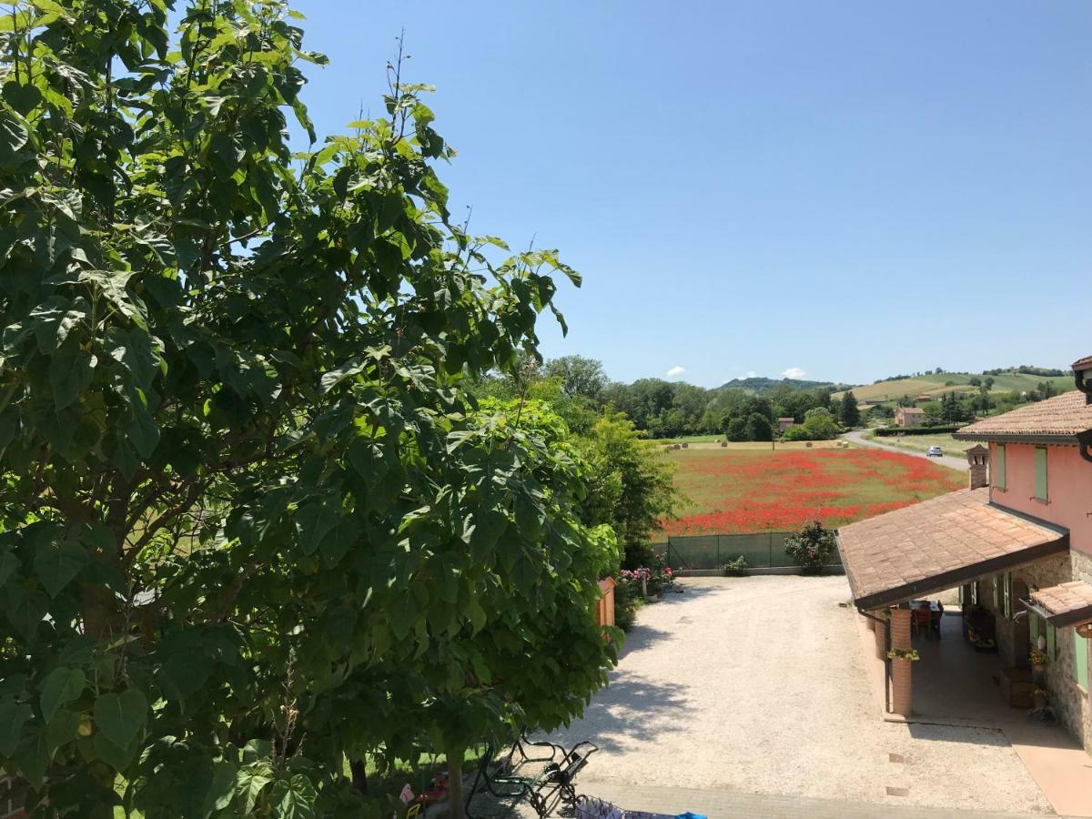Tra i Campi Di Papaveri Medesano Bagian luar foto