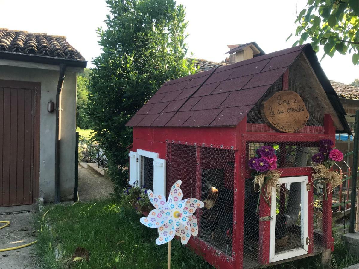 Tra i Campi Di Papaveri Bed & Breakfast Medesano Bagian luar foto