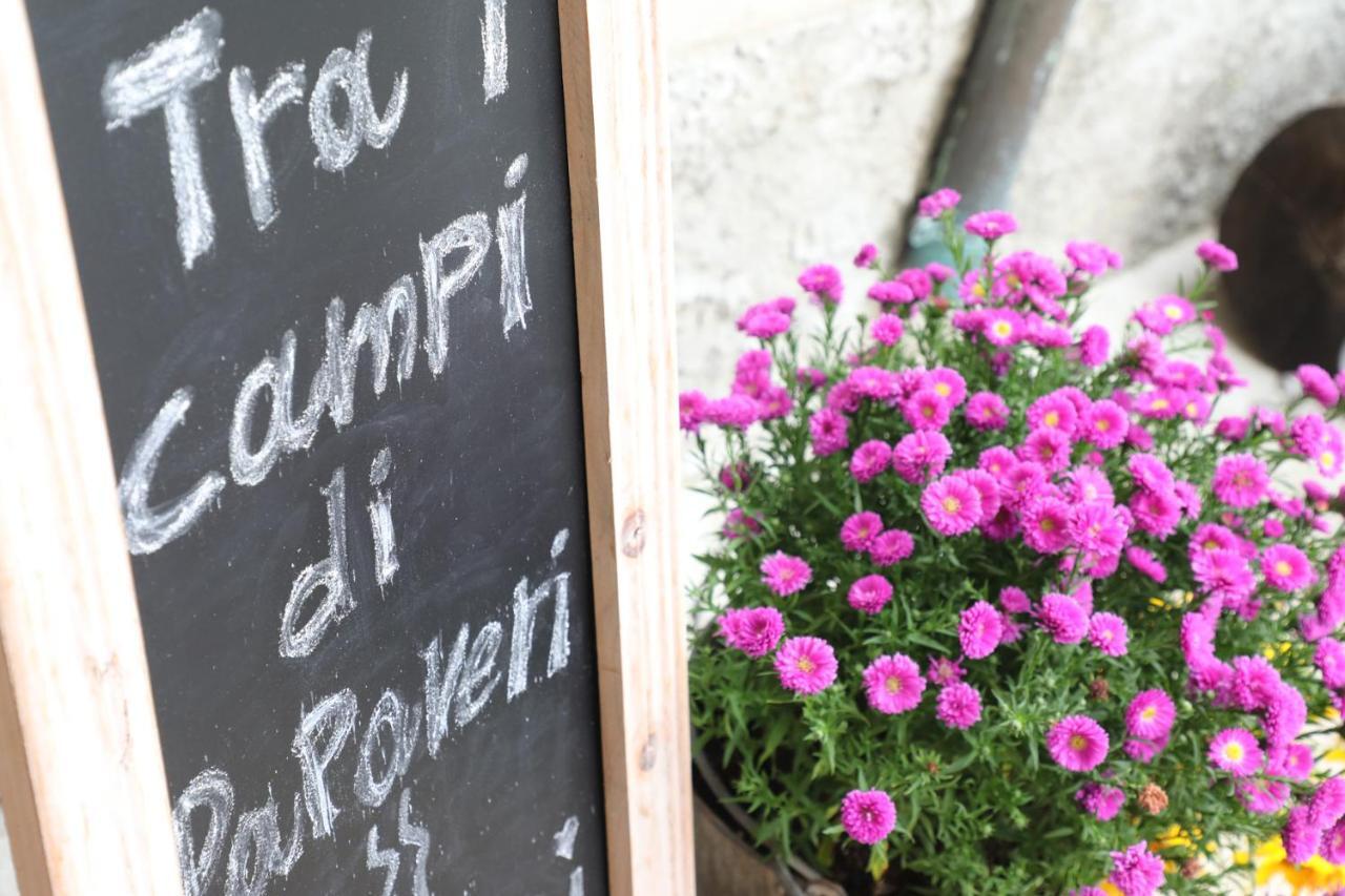 Tra i Campi Di Papaveri Medesano Bagian luar foto
